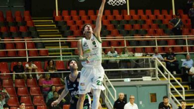 avellino basket